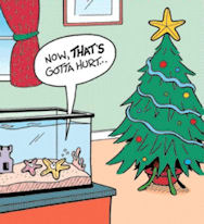 xmas cartoon